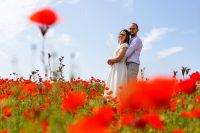 mariés dans un champ de coquelicots